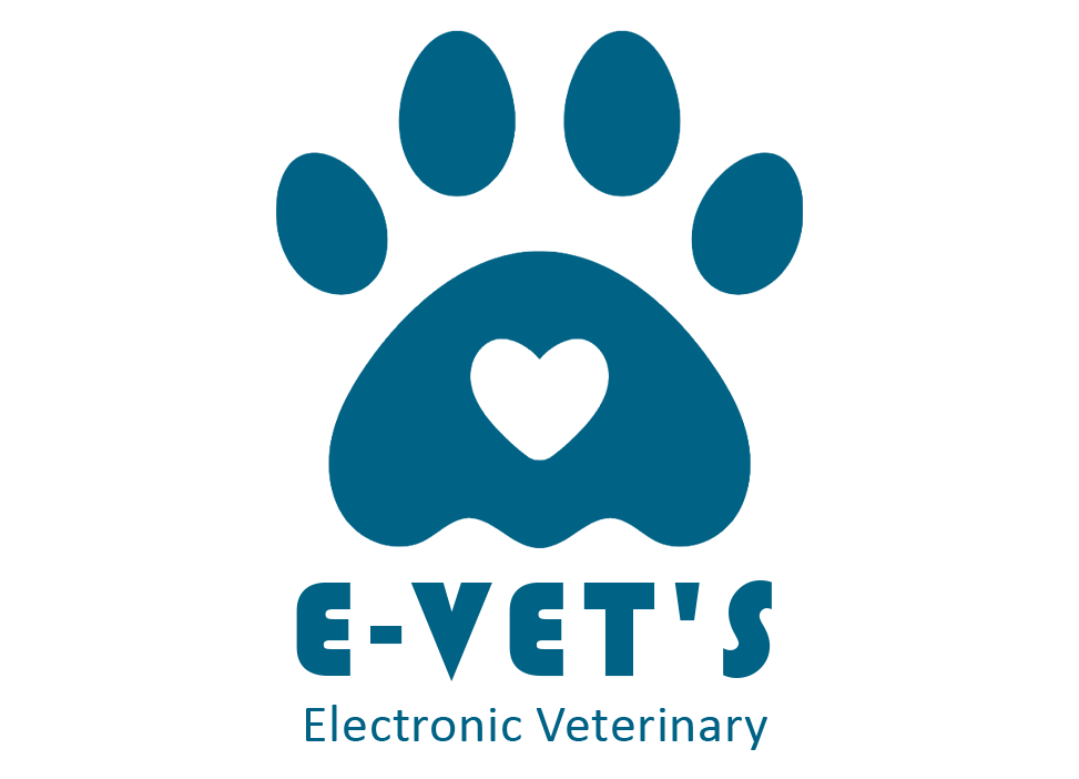 branding logo